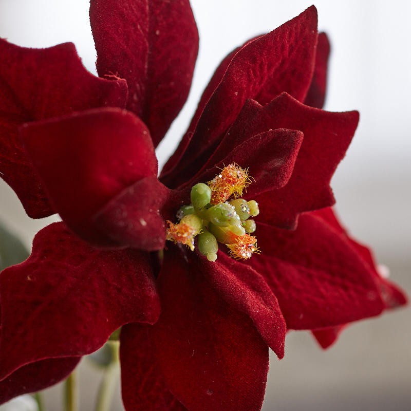 Burgundy Artificial Poinsettia Pick | 6 Pieces