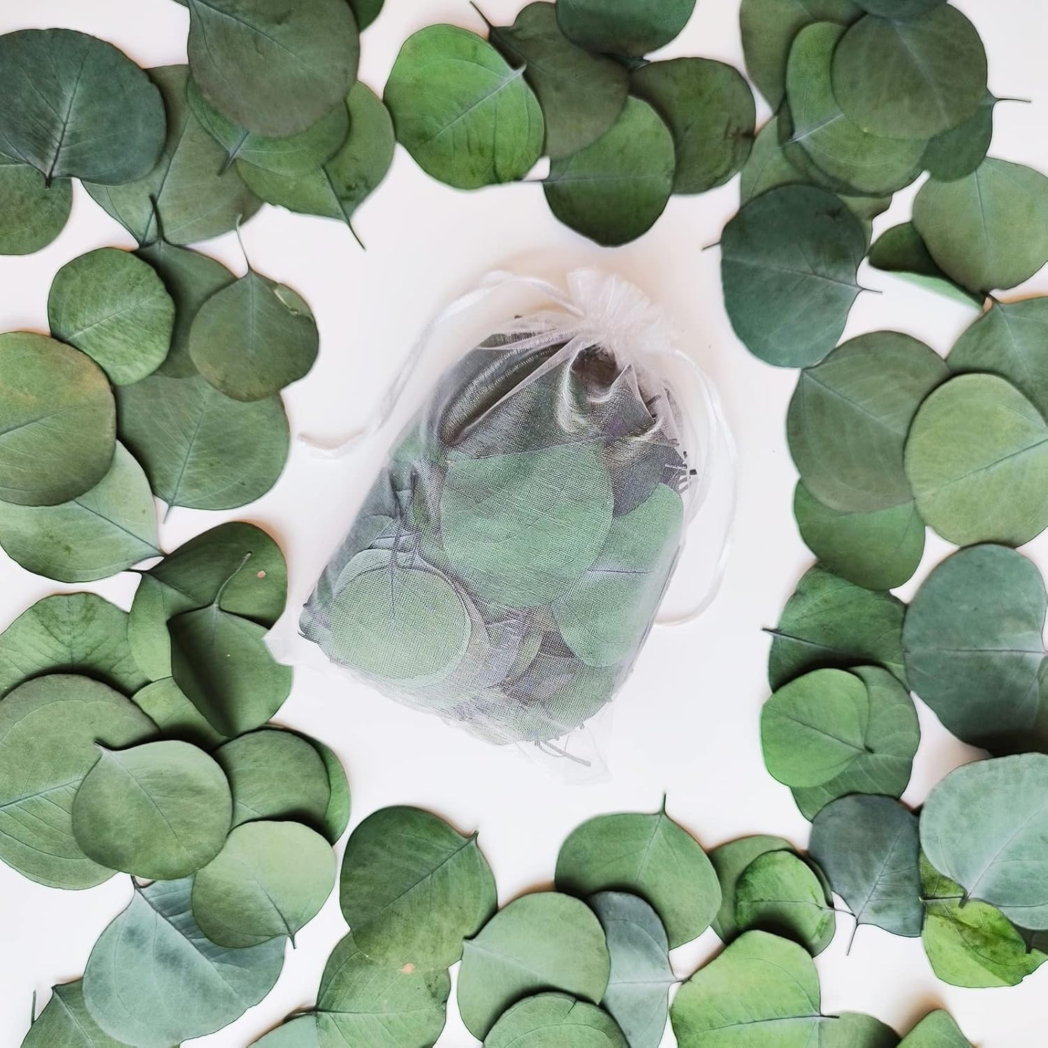 300+ Pcs Dried Real Eucalyptus Leaves,100% Natural Biodegradable Confetti for We