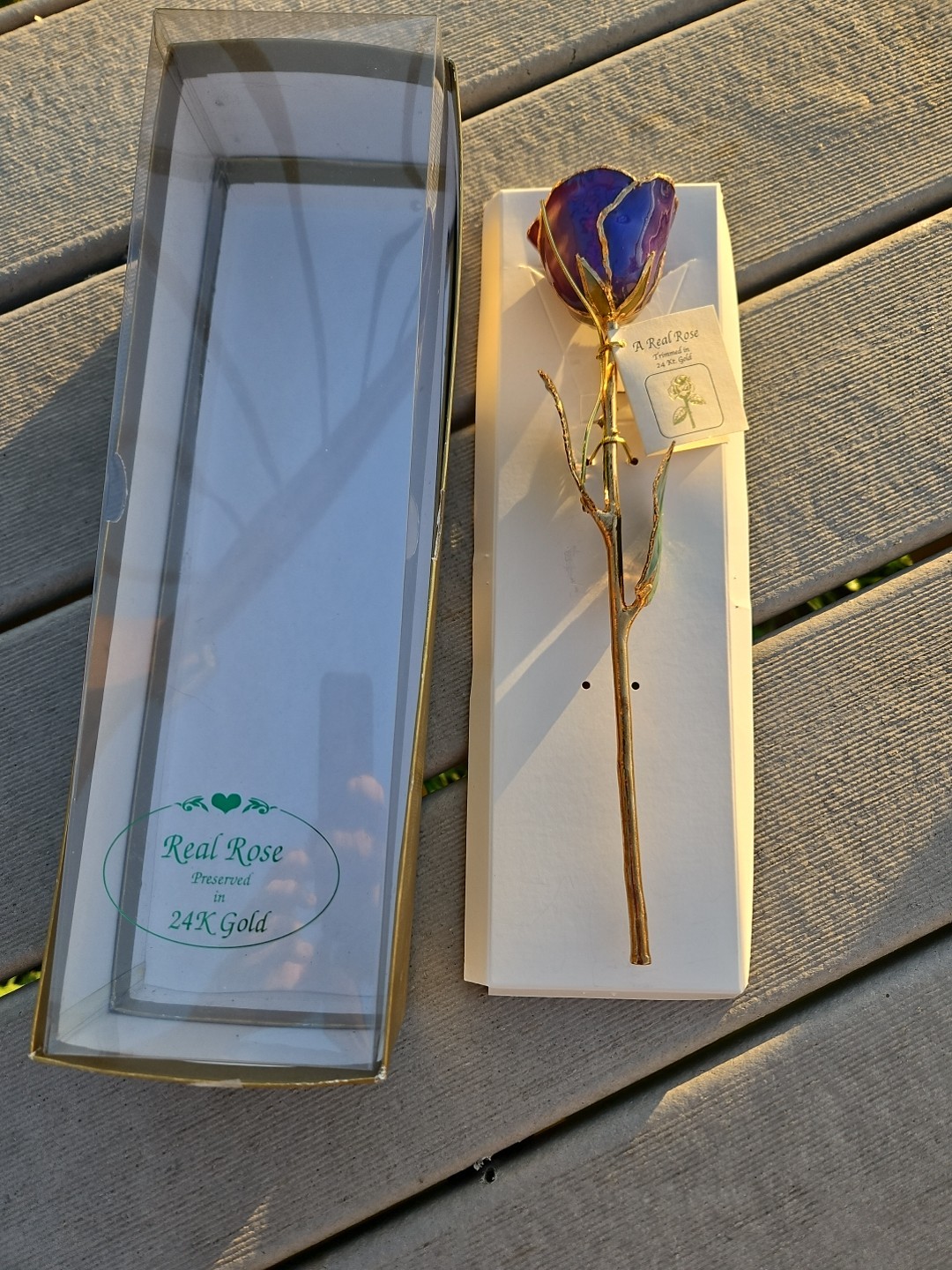 GIFT BOXED BLUE Lacquer Dipped 24K Gold Abracadabra Real Rose