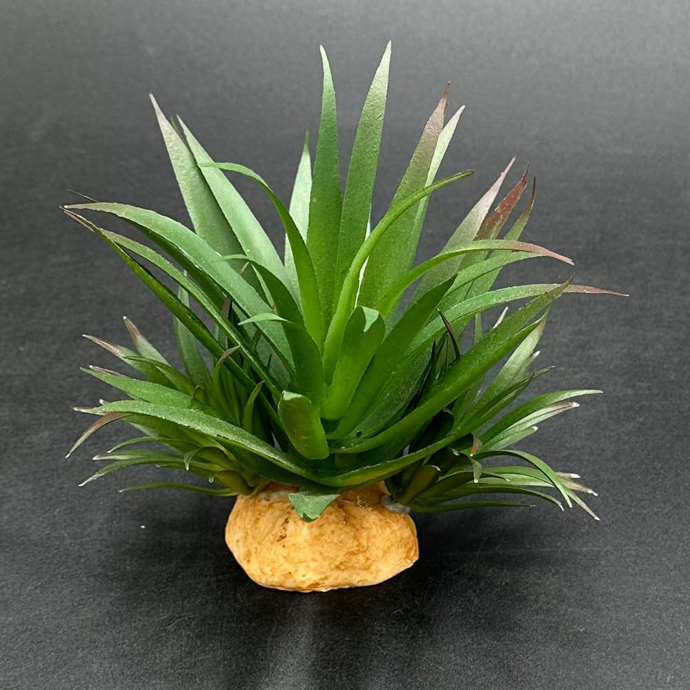Agave Artificial Succulent Reptile Plant Terrarium Decor Set