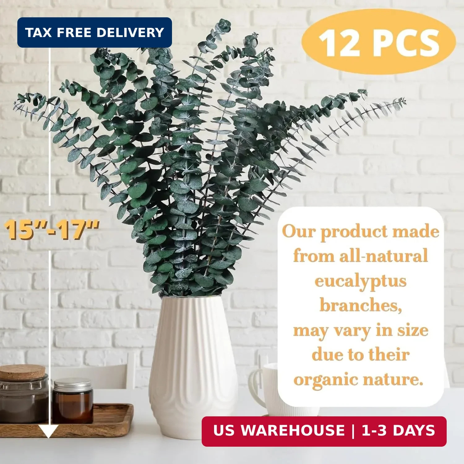 12PCS Dried Eucalyptus for Shower Hanging – 17” Real Large Preserved Eucalyptus