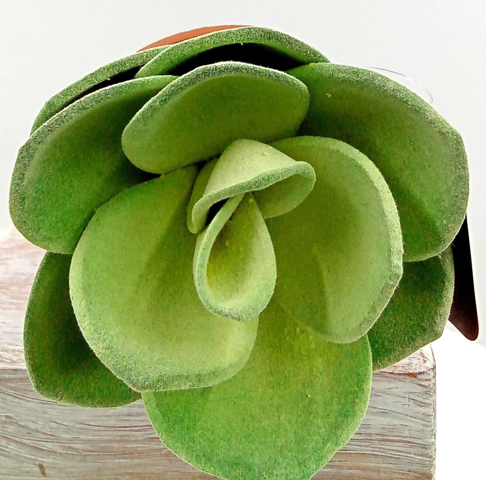 Succulent Clay Pot Planter Artificial Faux Dirt Foam Plastic Green Floral 5×2.5″