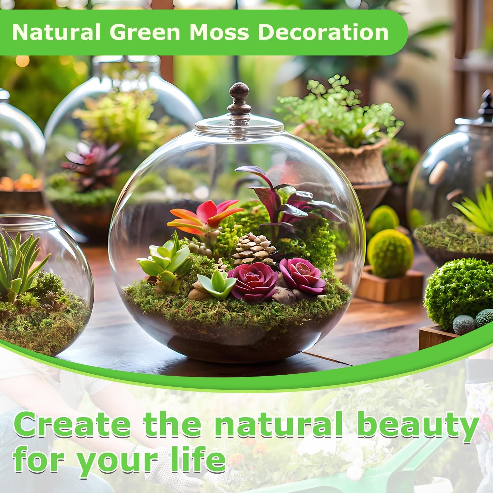 1.3 LBS Green Moss for Plants Indoor, Crafts Moss for Artificial Plants, Deco…
