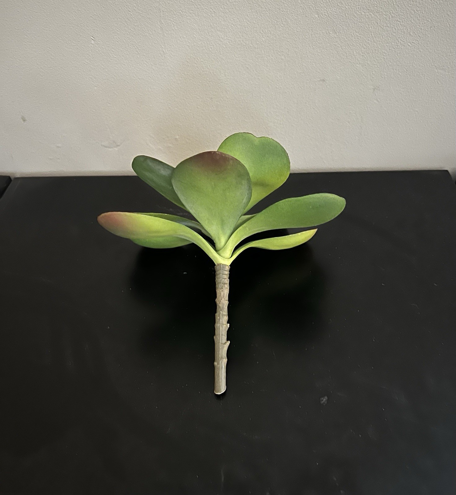 Crate and Barrel Succulent Artificial Plant