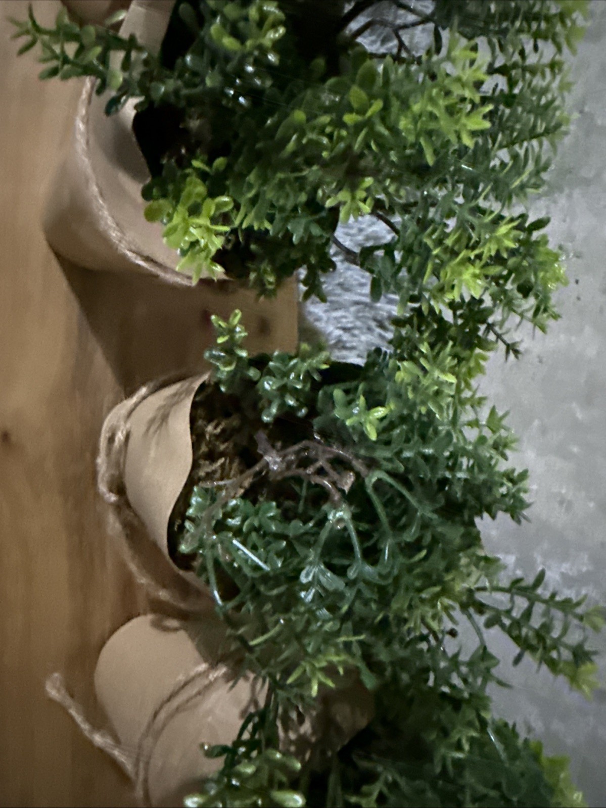 set of 5 faux plants