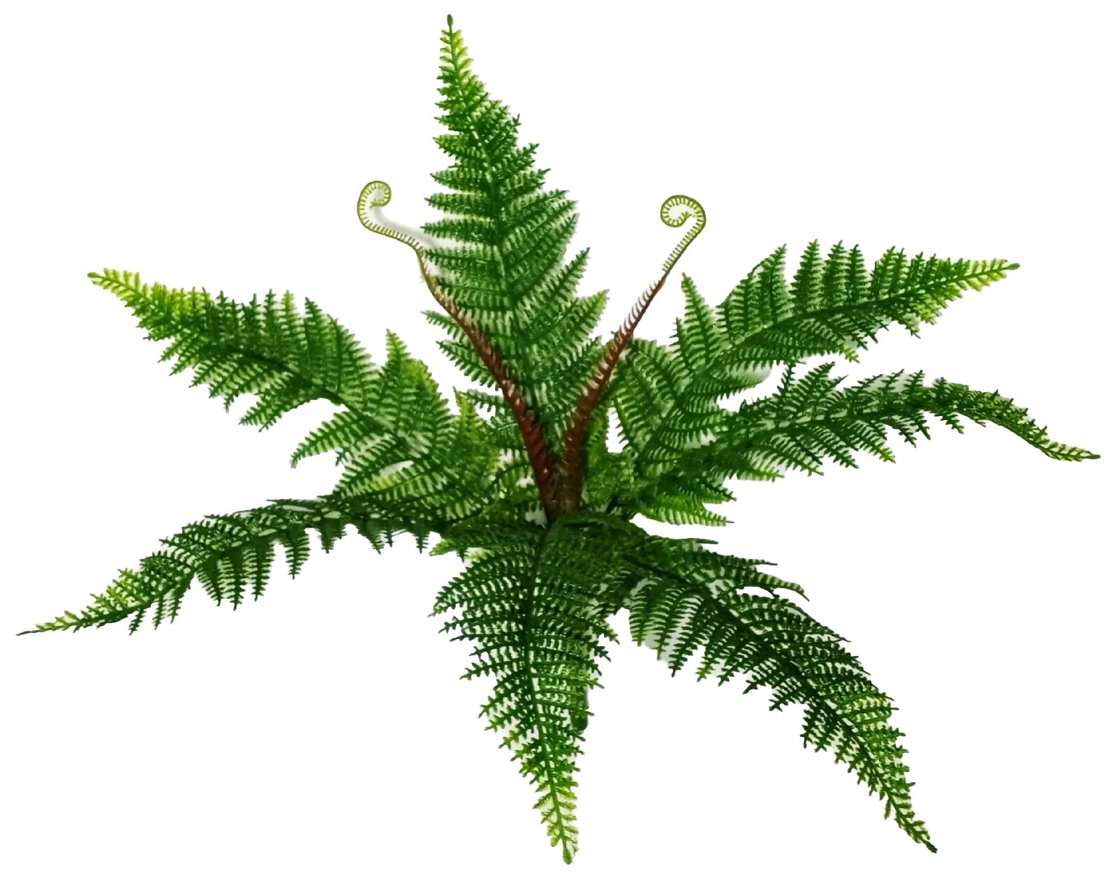 Plastic Fern 17″ Bush Leaf Greenery Foliage Plant Flower In/Outdoor Decor USA