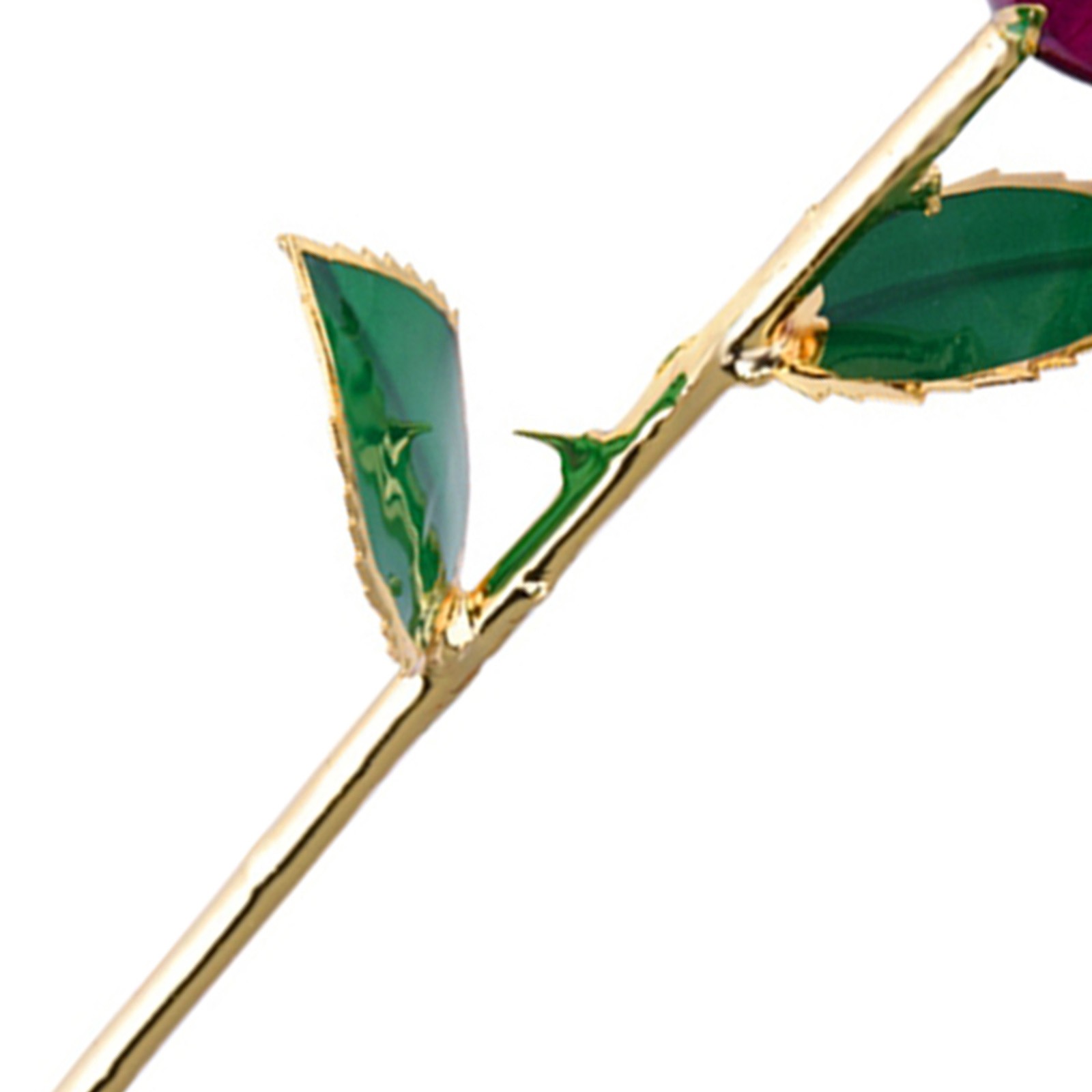 Real Purple Rose 24K Gold Dipped Preserved Flower Gift For Anniversary