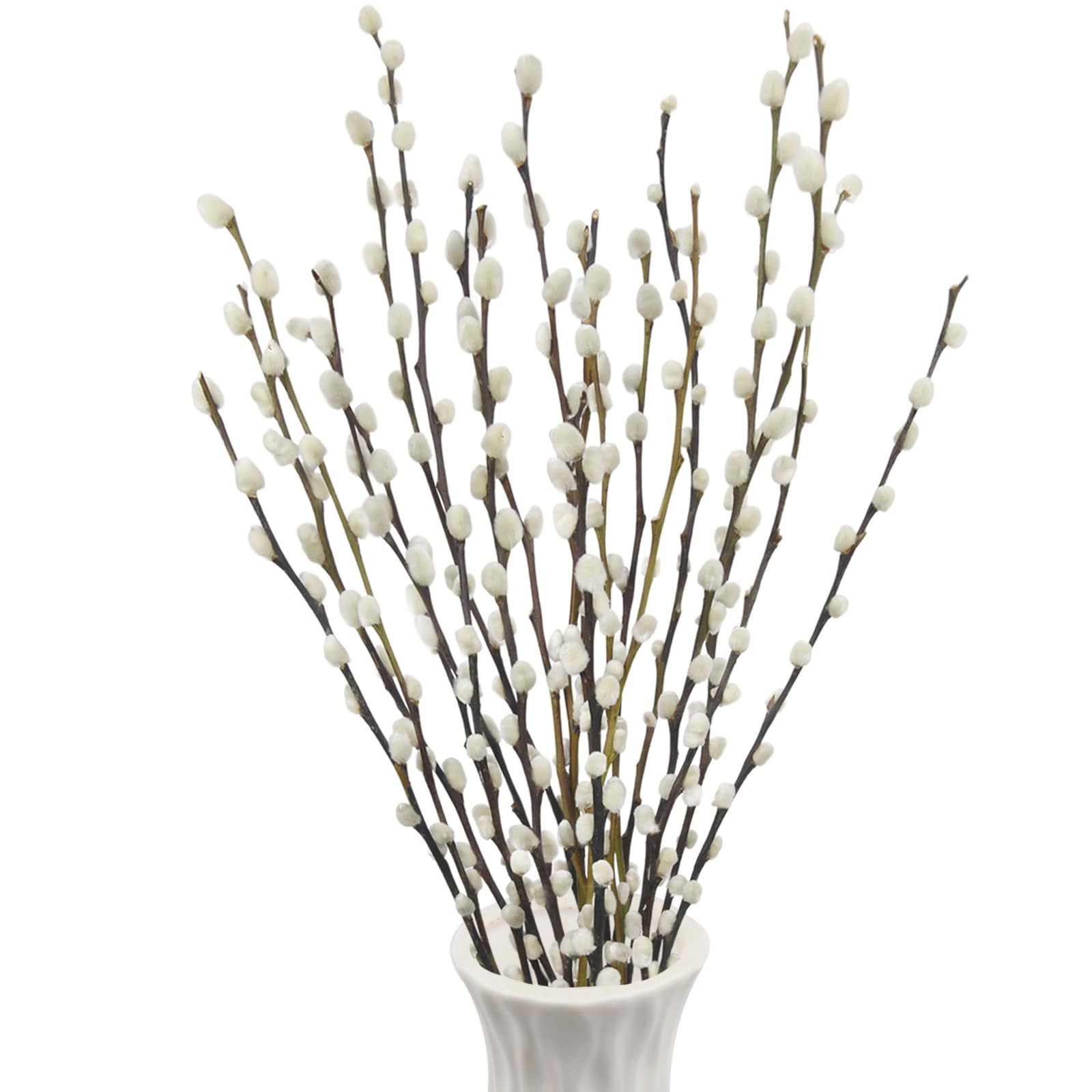 20 Pcs Natural Preserved Dried Flowers Real Pussy Willow Branches for Vases T…