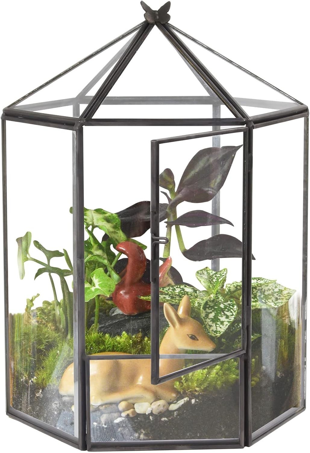 Hexagonal Black Plant Terrarium Kit