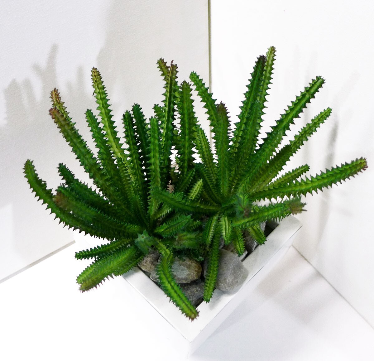 2 Pcs Artificial Fake Cactus Column Succulents Plants Green Home Garden (#123 B)