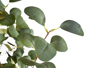 Artificial Eucalyptus Tree, 5ft Tall Mordern Fake Eucalyptus Plant with Basket,