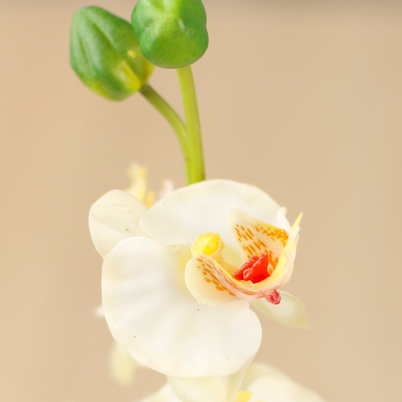 Bulk Case of 48 Cream Artificial 15″ Vanda Orchid in Yellow Planters