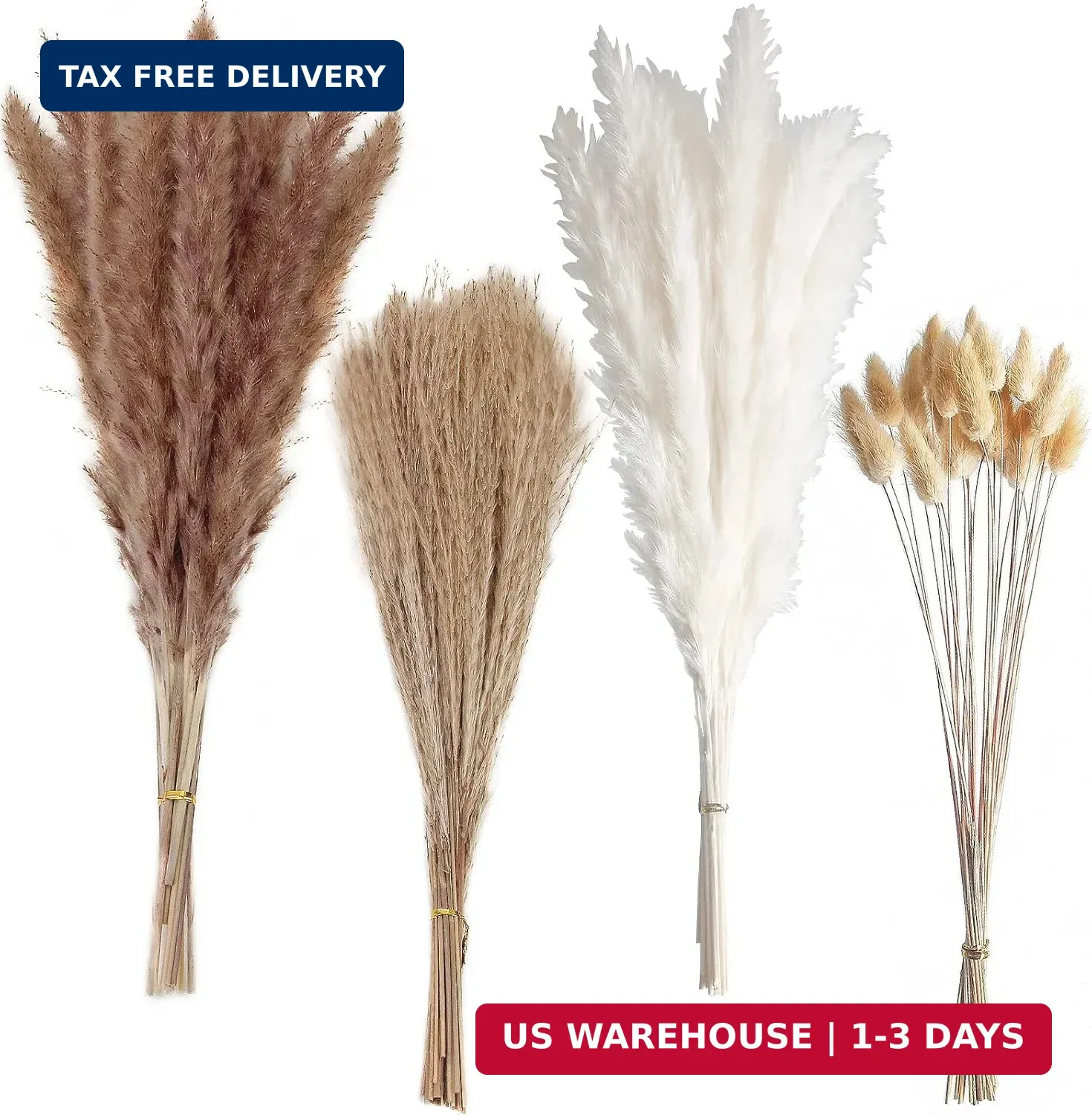 100 PCS Small Boho Pampas Grass, 17″ Naturally Dried Pompas, Pampas Grass Decor
