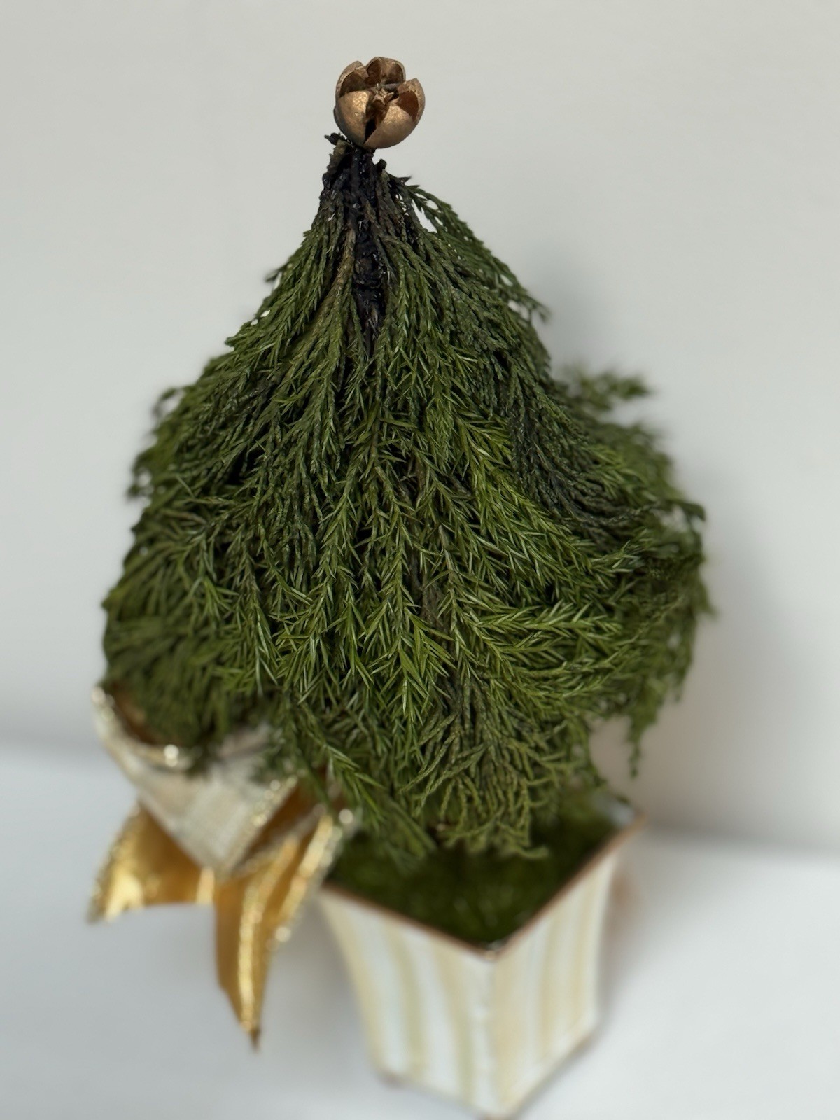 NEW Mackenzie Childs Evergreen Accents Topiary Mocha Check/Stripe 9” Tall
