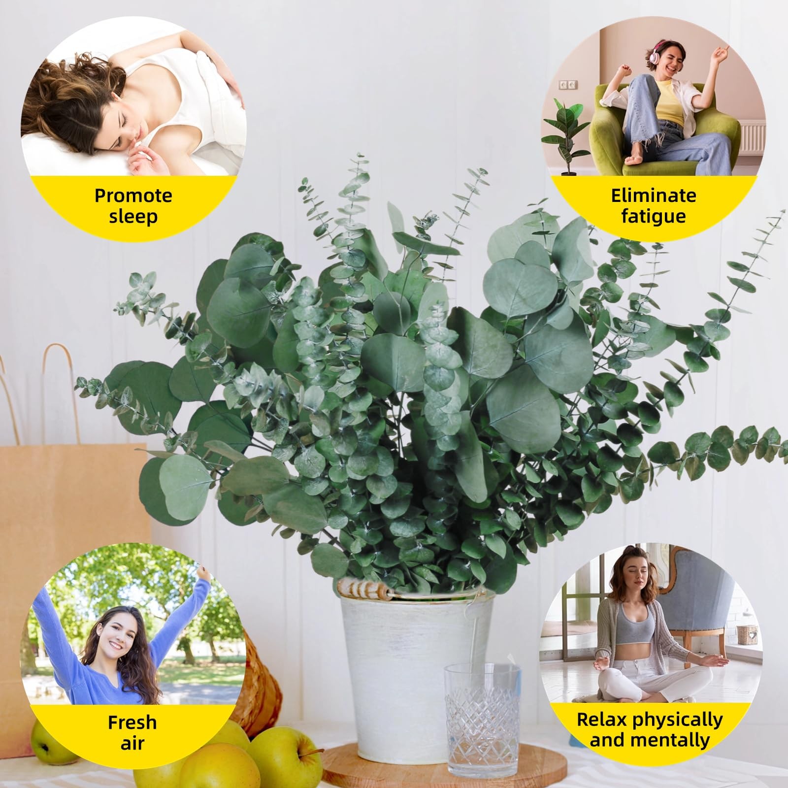 22 Pcs Large Dried Eucalyptus & Silver Dollar Leaves Bundle – Natural Real Fr…