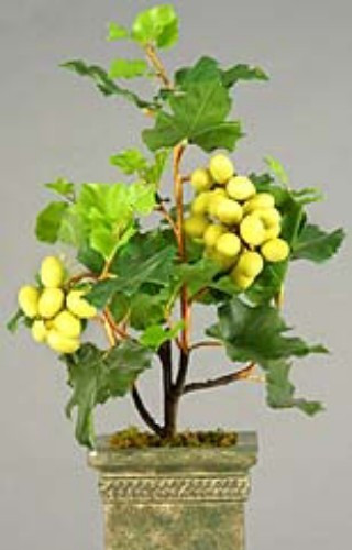 Artificial grape vine tree 20″ tall