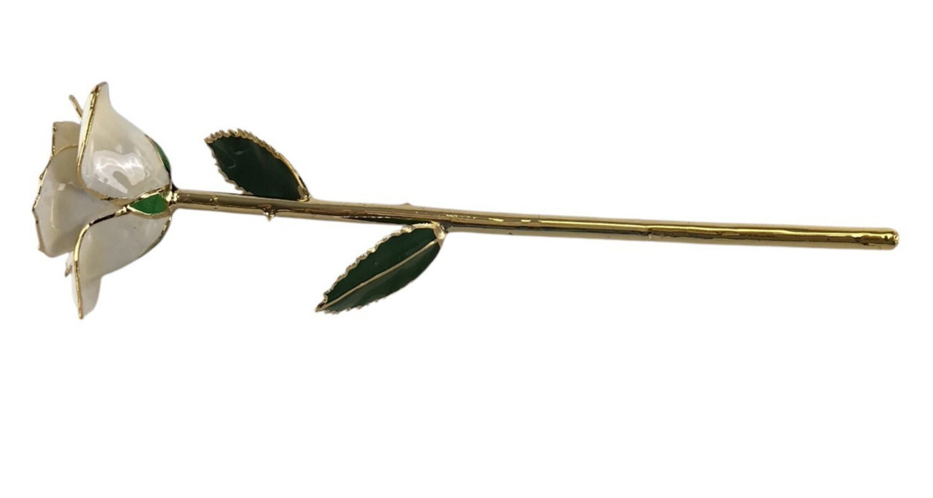 24K Gold Dipped White Rose Long Stem Forever Preserved Rose Flower Lacquered