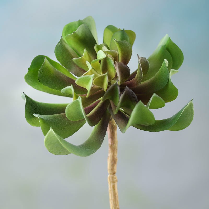 Set of 2 Artificial Indoor/Outdoor Succulent 6-1/2″ Picks