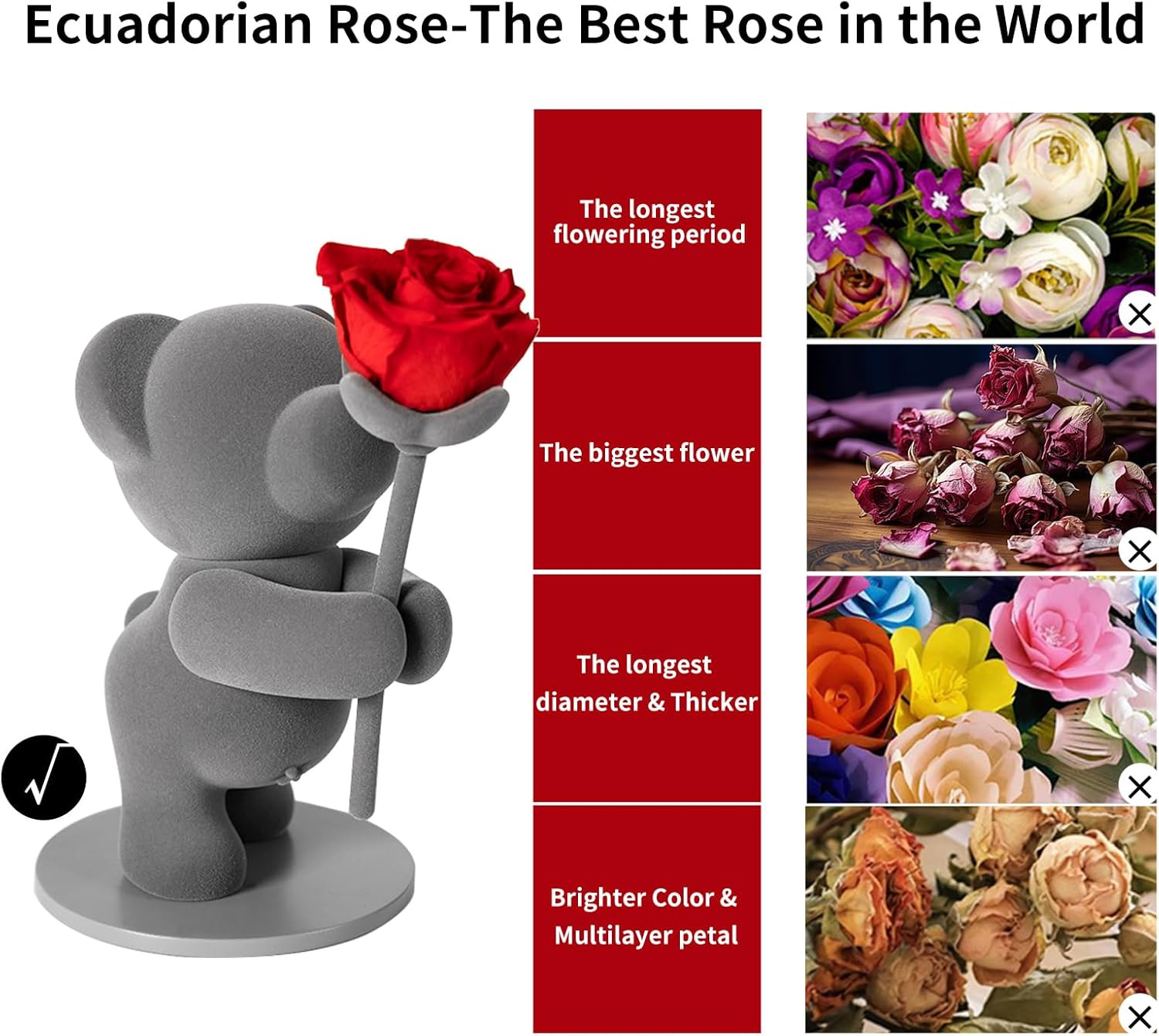 Flores preservadas con oso regalo romantico rosa real caja elegante navidad