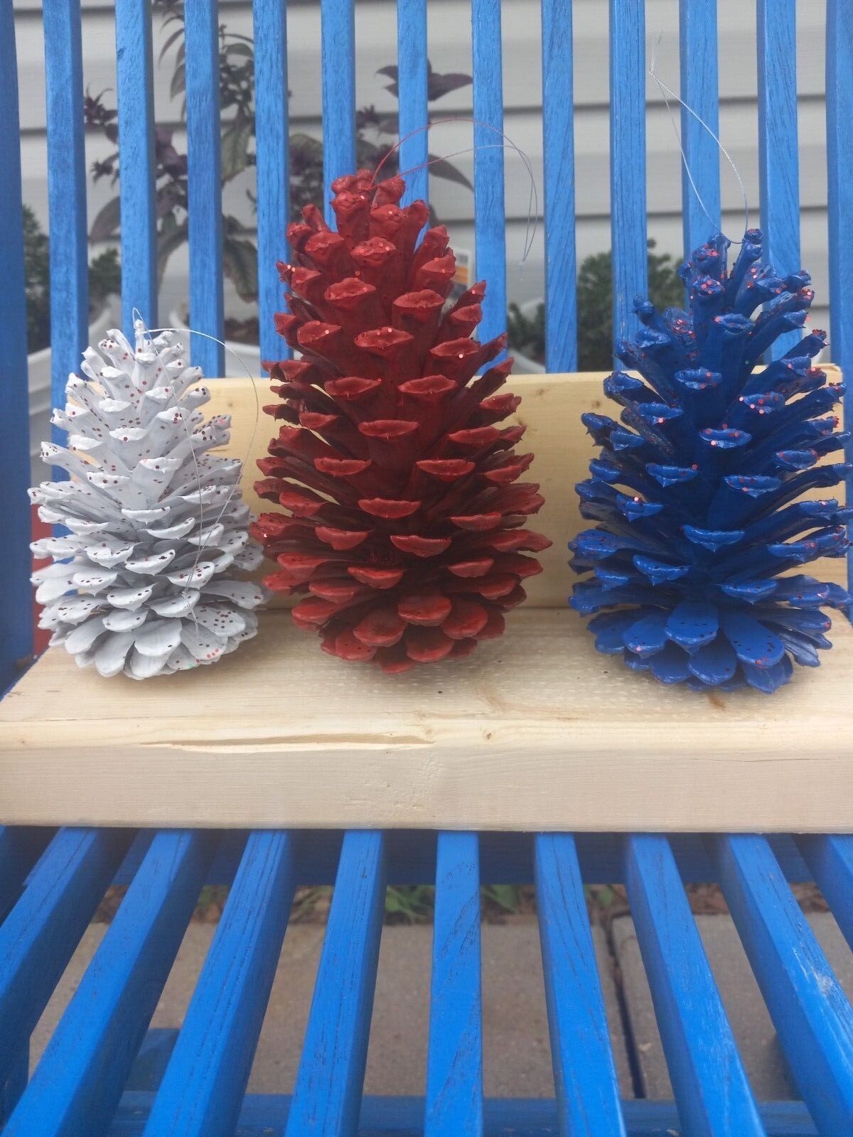 Hand painted pinecones,  various colors.  Set of 6 or 12. Fun holiday decor.