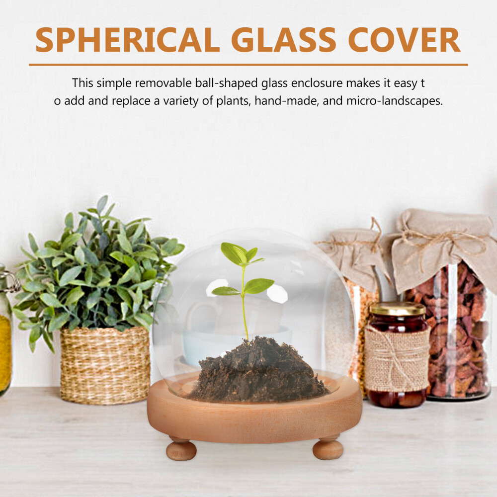 1PC Handle Cloche with Wood Base Glass Cloche with Base Clear Glass Dome Stand
