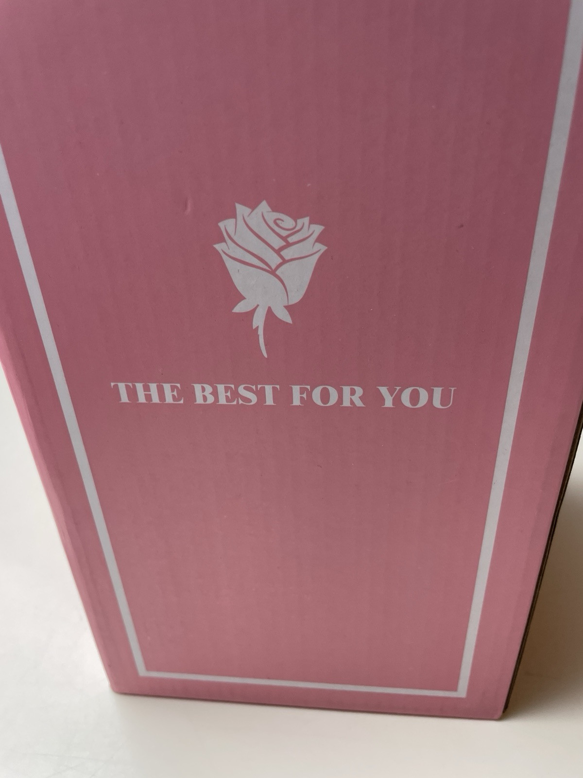 Jaime Win Mother’s Day Rose In Jar Light Up LED Birthday Valentines Day New
