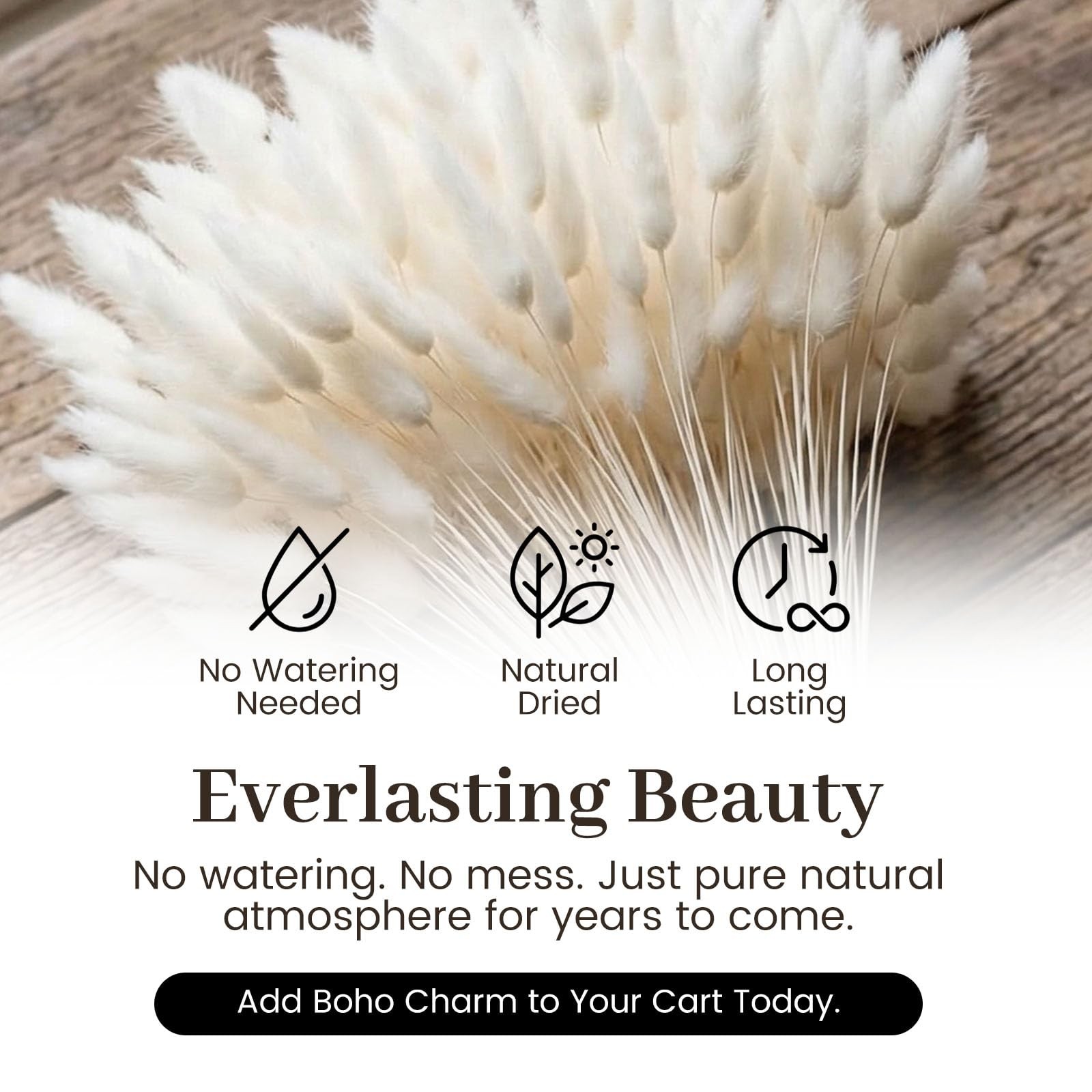 120PCS Dried Pampas Grass Decor, 17inch White Bunny Tails Dried Flowers, Bunn…