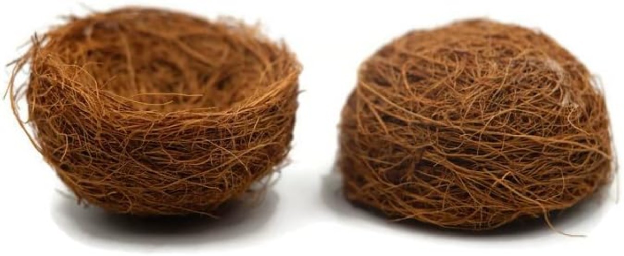Set of 3 Natural Coconut Fiber Bird Nests – Rustic Decorative Accents for Home