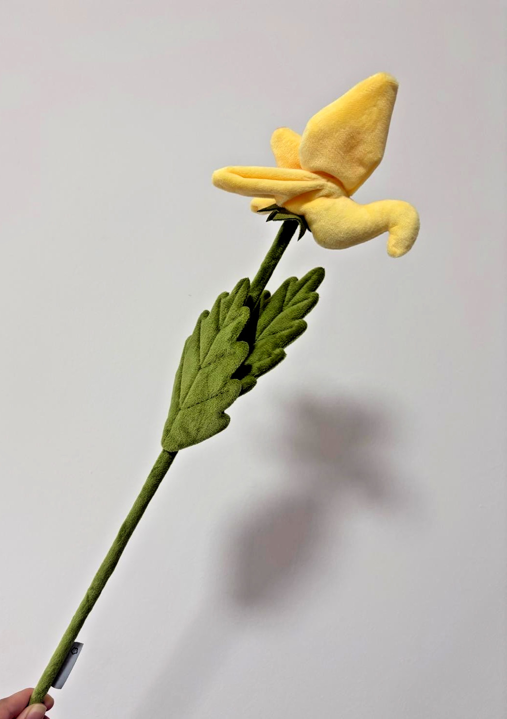 CJ Hendry Hong Kong Native – Yellow Bird Balsam Flower