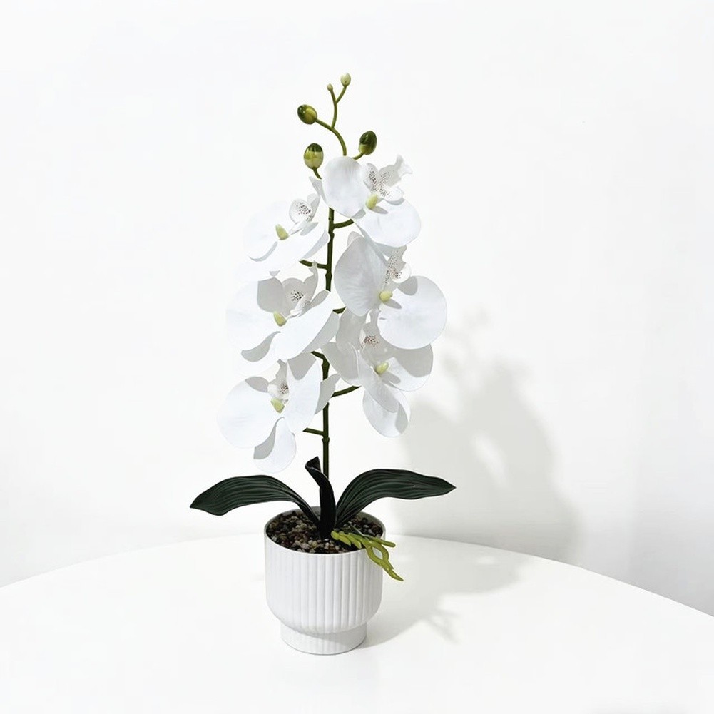 42cm Phalaenopsis Orchid Fake Flower Plastic Stem with Natural Texture