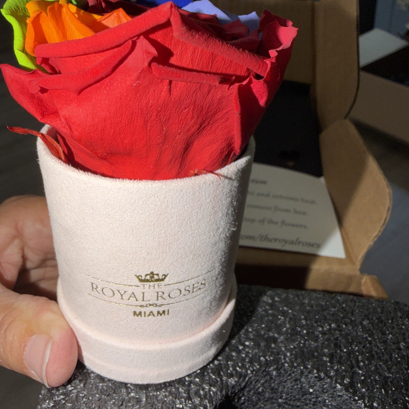 The Royal Rose Miami Preserved Rose New In Box