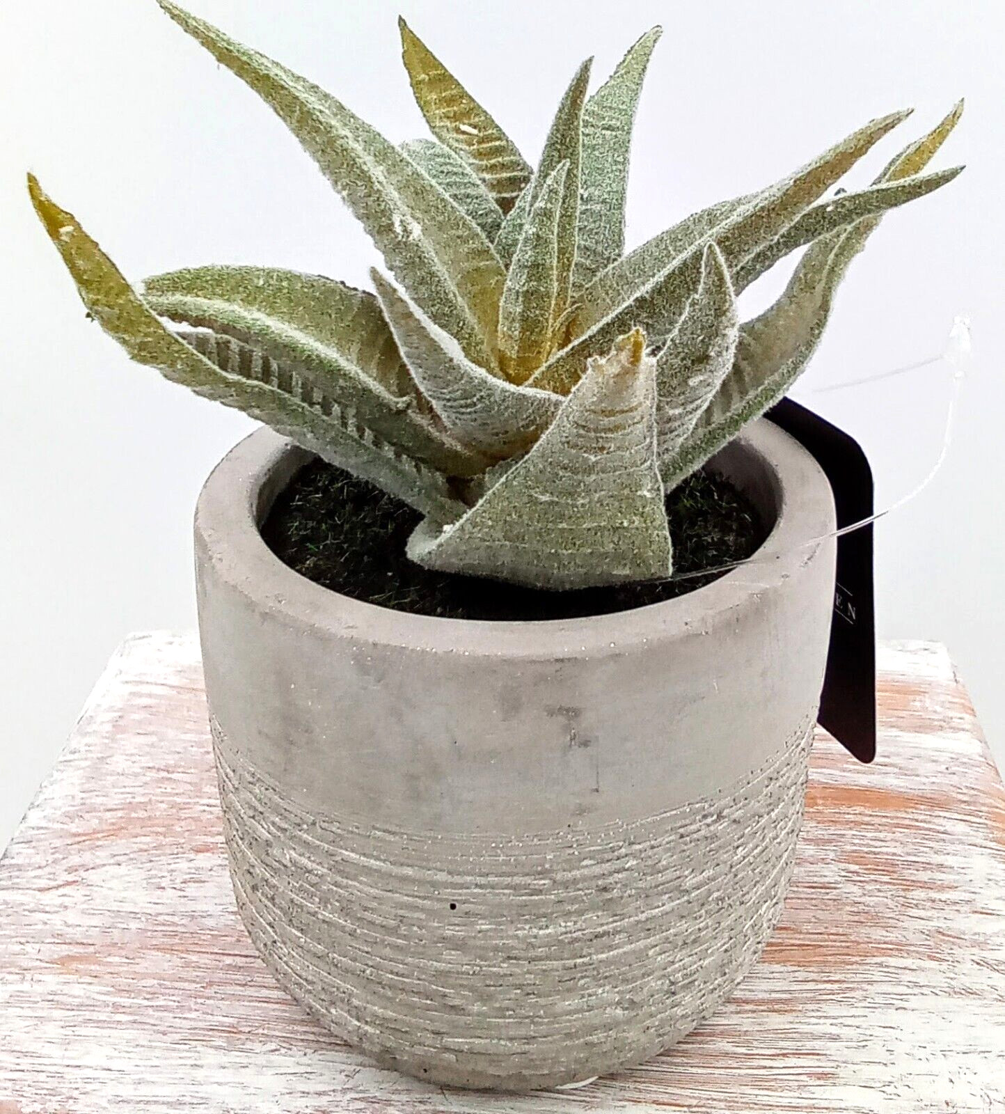 Aloe Succulent Cement Pot Planter Gray Green Artificial Plastic Foam Floral 4.5″