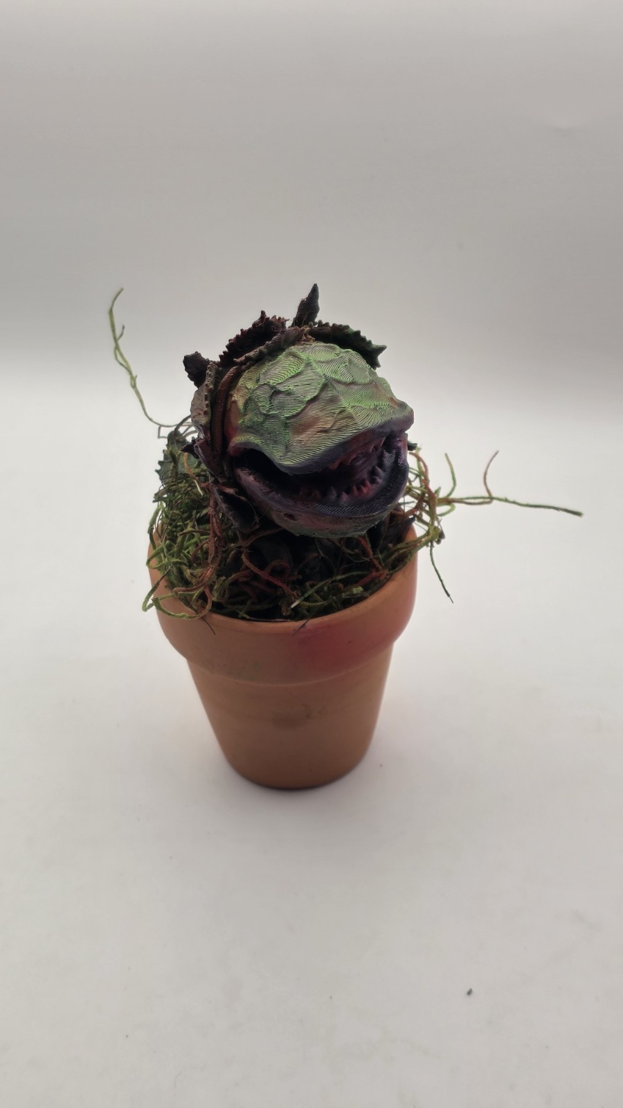 Audrey II Little Shop of Horrors Airbrushed Carnivorous includes Pot & Moss 5″