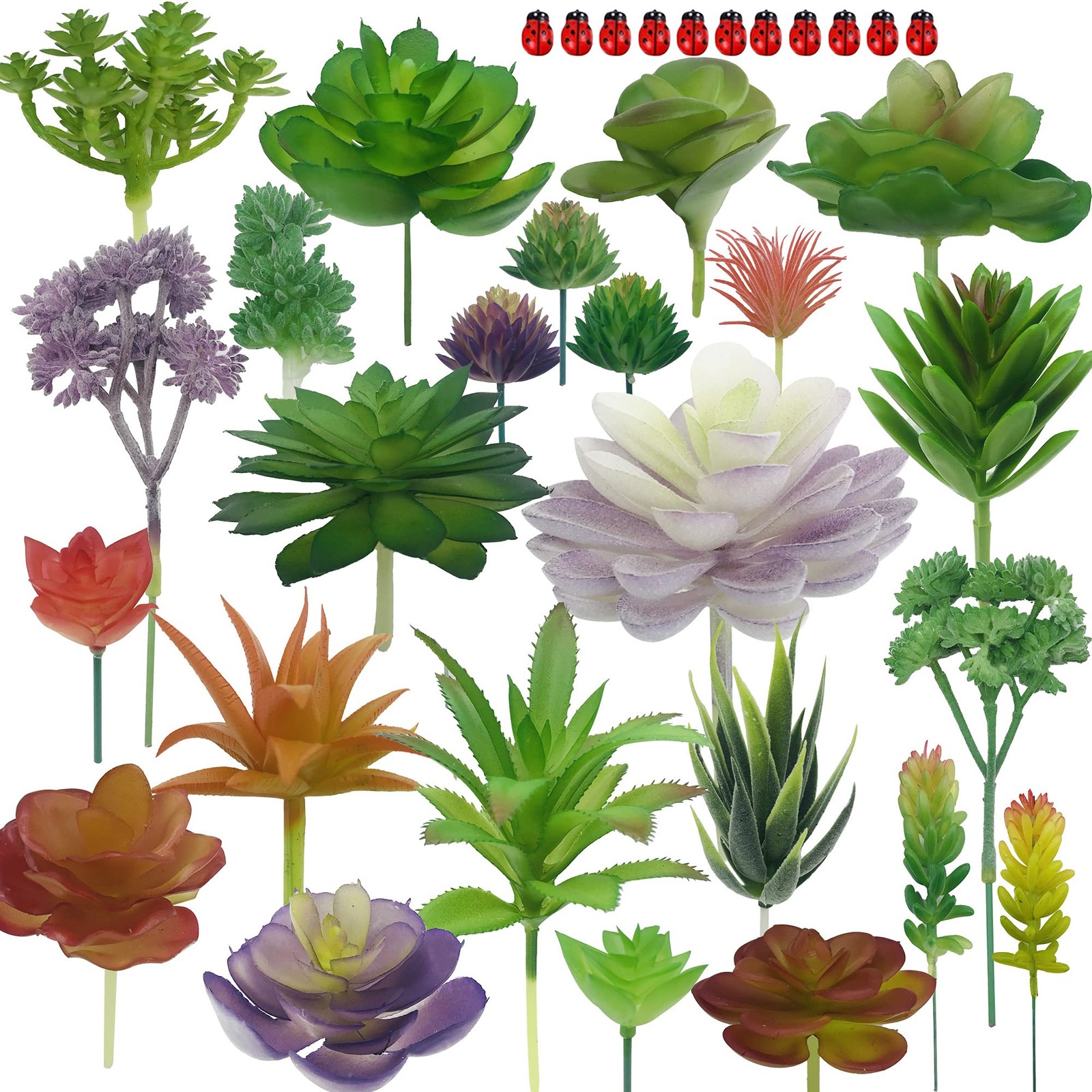 Woohome 34 PCS Artificial Succulents Picks Set, 24 Mixed Color Succulent Plants