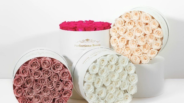 27 Preserved Red Roses in Box – Perfect Mother’s Day & Birthday Gift for Her