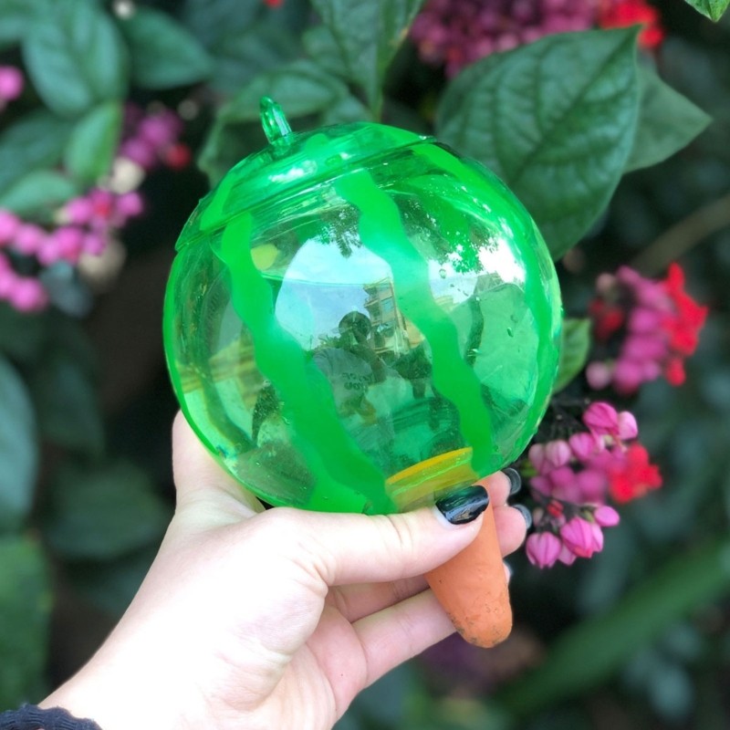 Plant Watering Ball Suitable for Indoor Outdoor Plant Automatic Plant Drippers