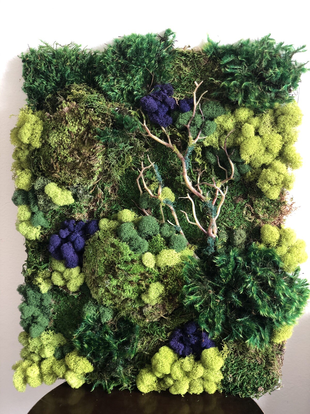 Moss Wall Art 11 X 14 3 Options