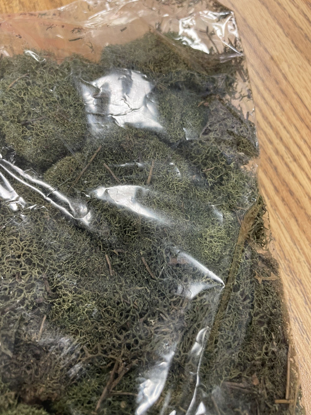 PRESERVED NATURAL REINDEER MOSS GREEN FOR CRAFTS VILLAGES & RAILROAD DISPLAYS
