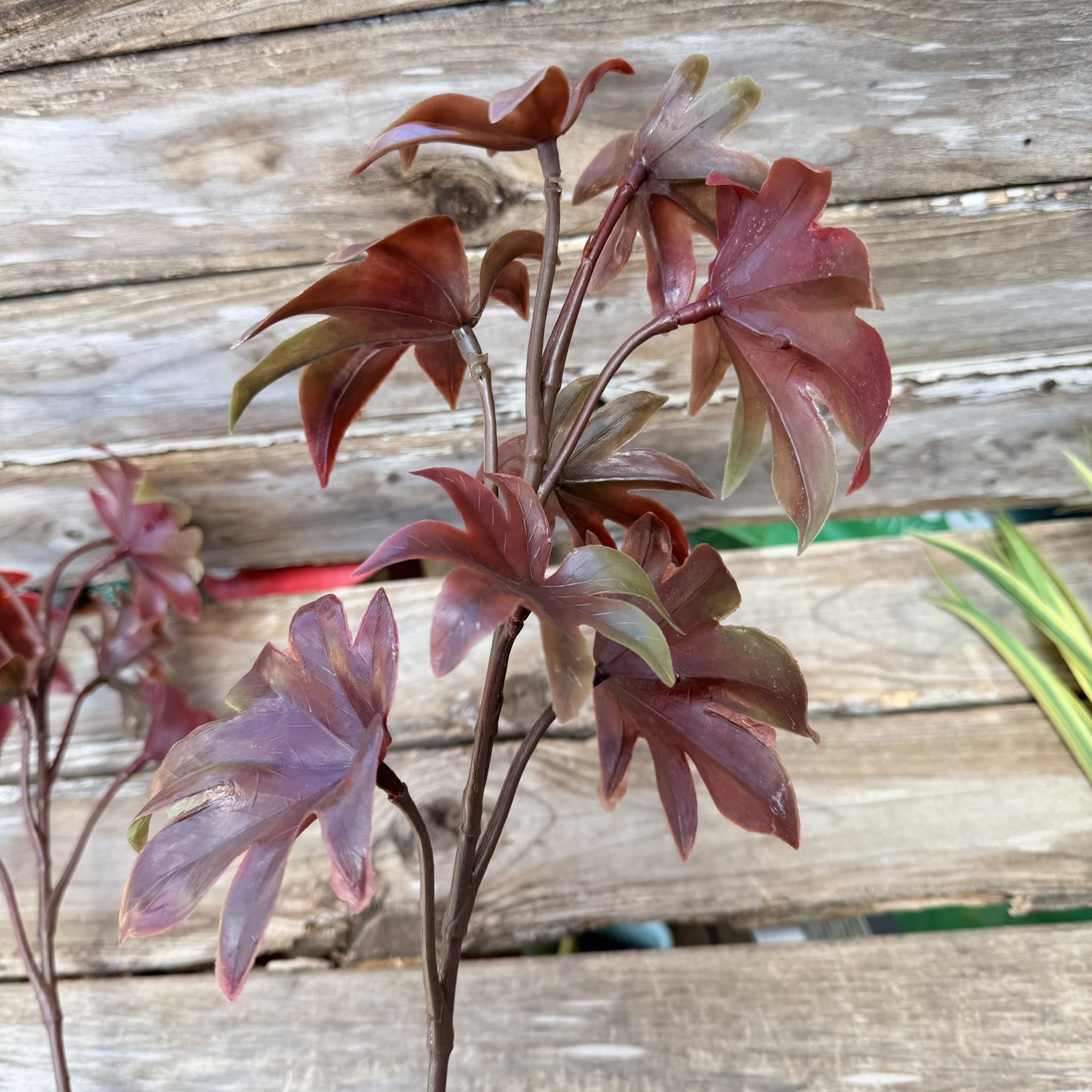 MCM Plastic Houseplant Stem Spider Plants and Japanese Maple Tiki Bar