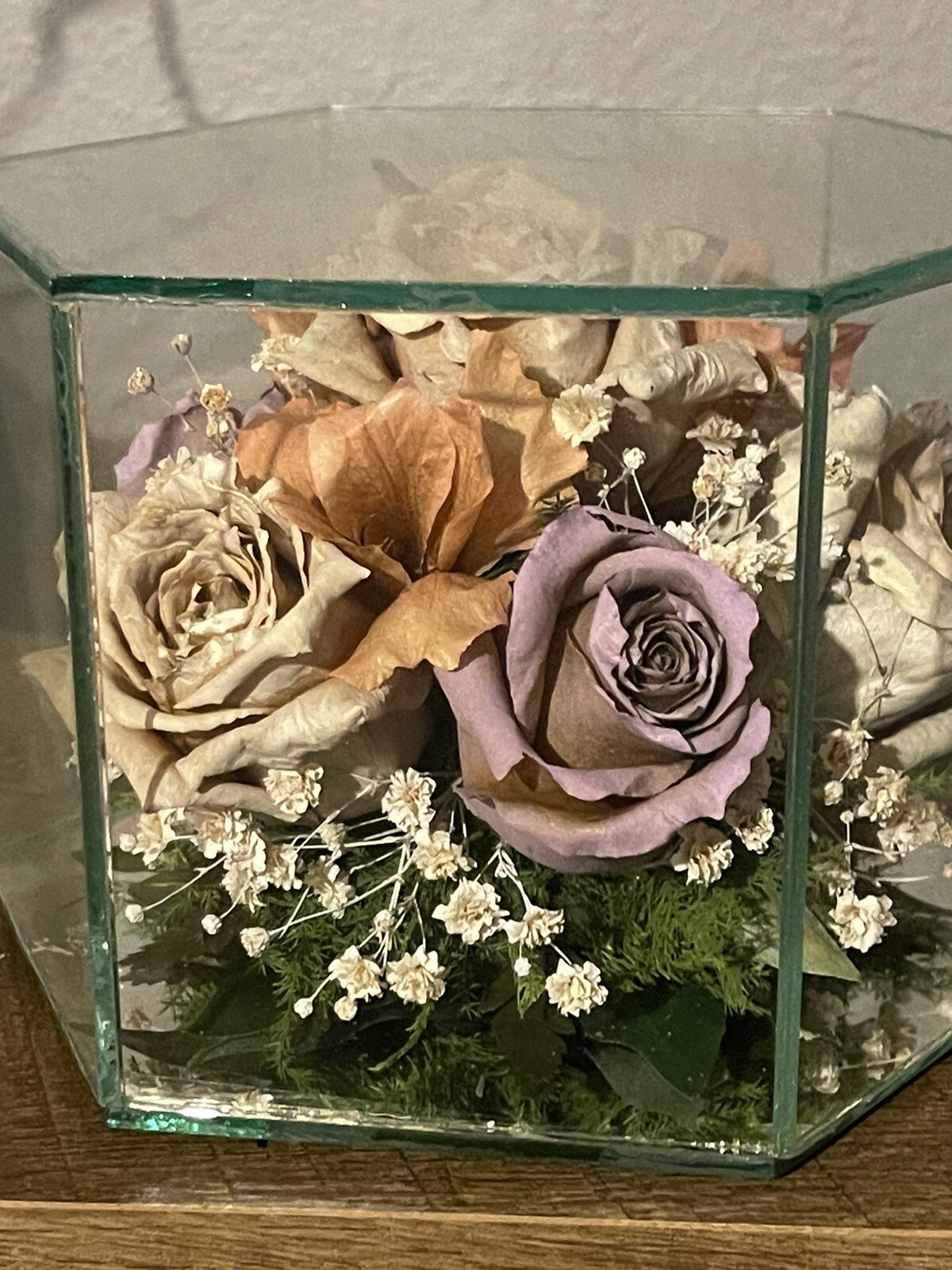 Vintage Freeze Dried Roses W/Butterfly In A Glass Display Case