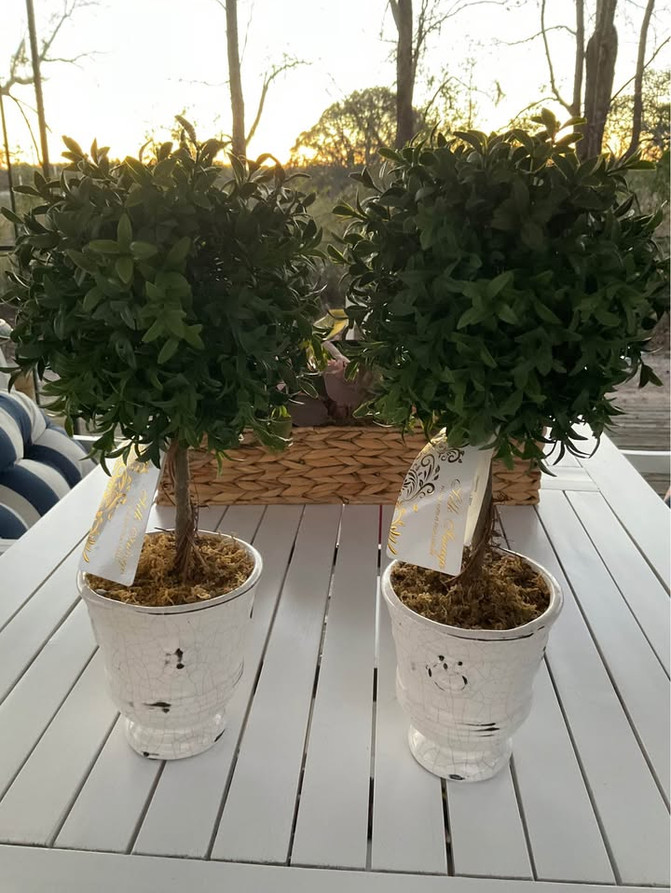 2 Artificial Plant Boxwood Topiary Tree Ball Shaped Distressed Ceramic Pot