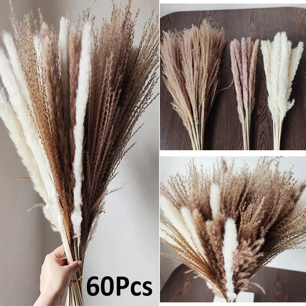 Natural Dried Flower Bouquet Pampas Grass Bunny Tails Eucalyptus Lavender Wheat