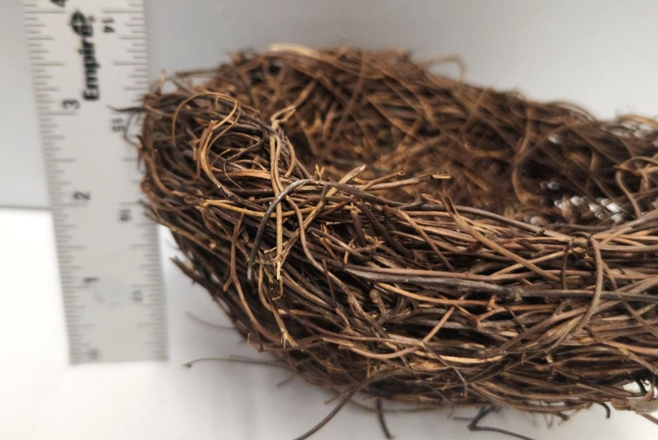 Rustic Twig Bird Nest 6 Inch Natural Handcrafted Nest Farmhouse Spring Decor