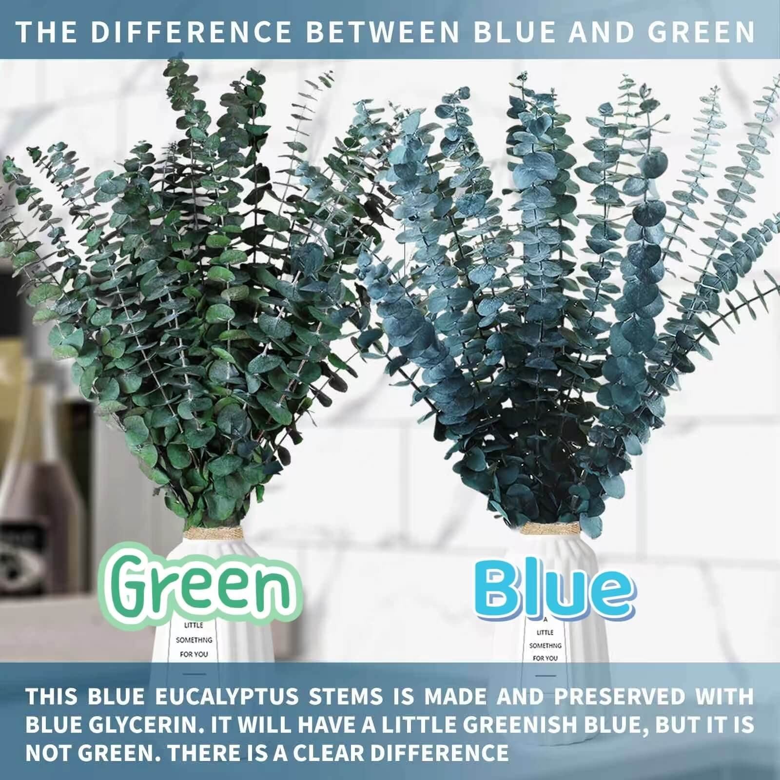 17 Pcs-Blue-Green-Dried-Preserved-Eucalyptus-Stems, 17″ Real Hanging Eucalypt…