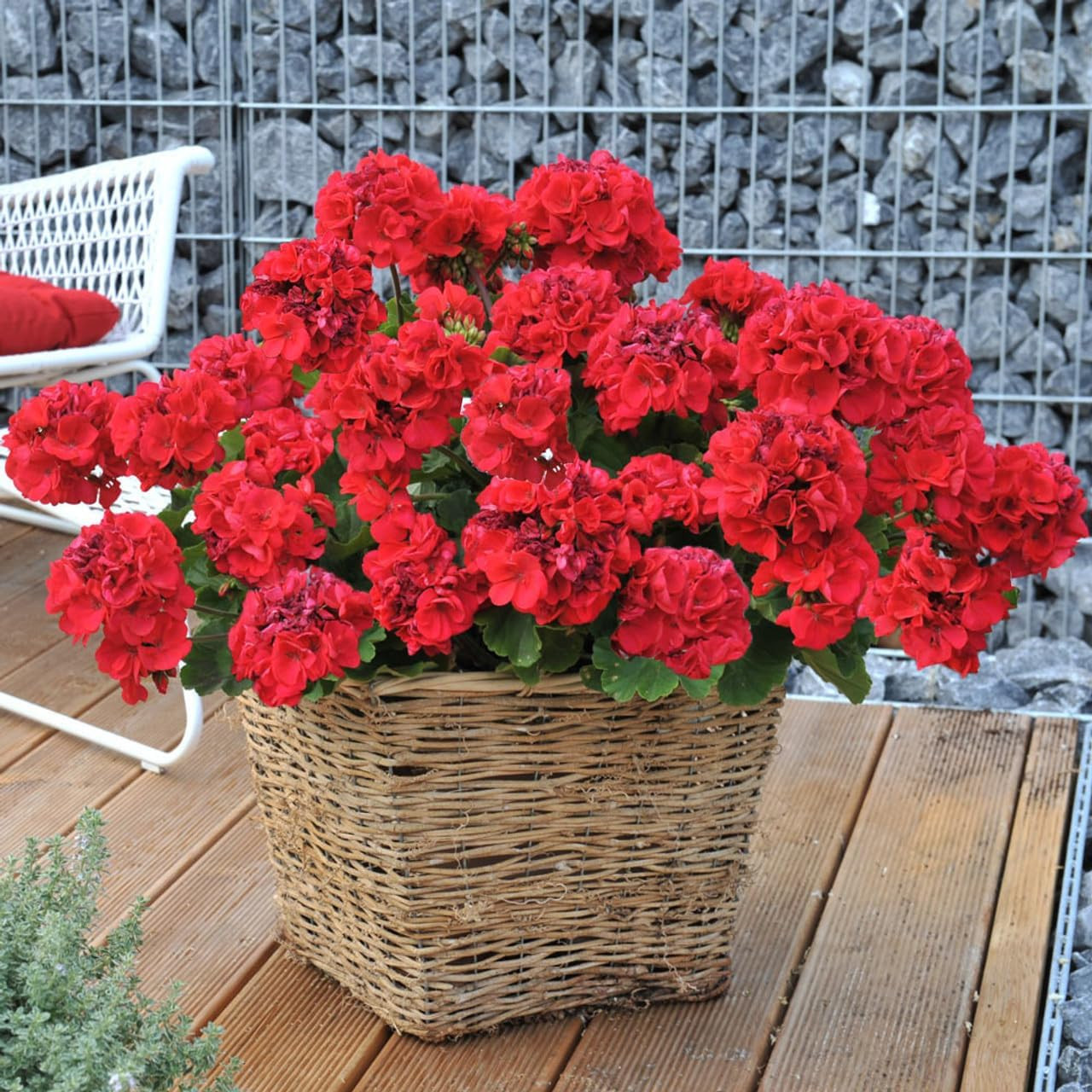 4PCS Artificial Red Geranium Silk Flowers Outdoor Plant Bush Faux Flowers