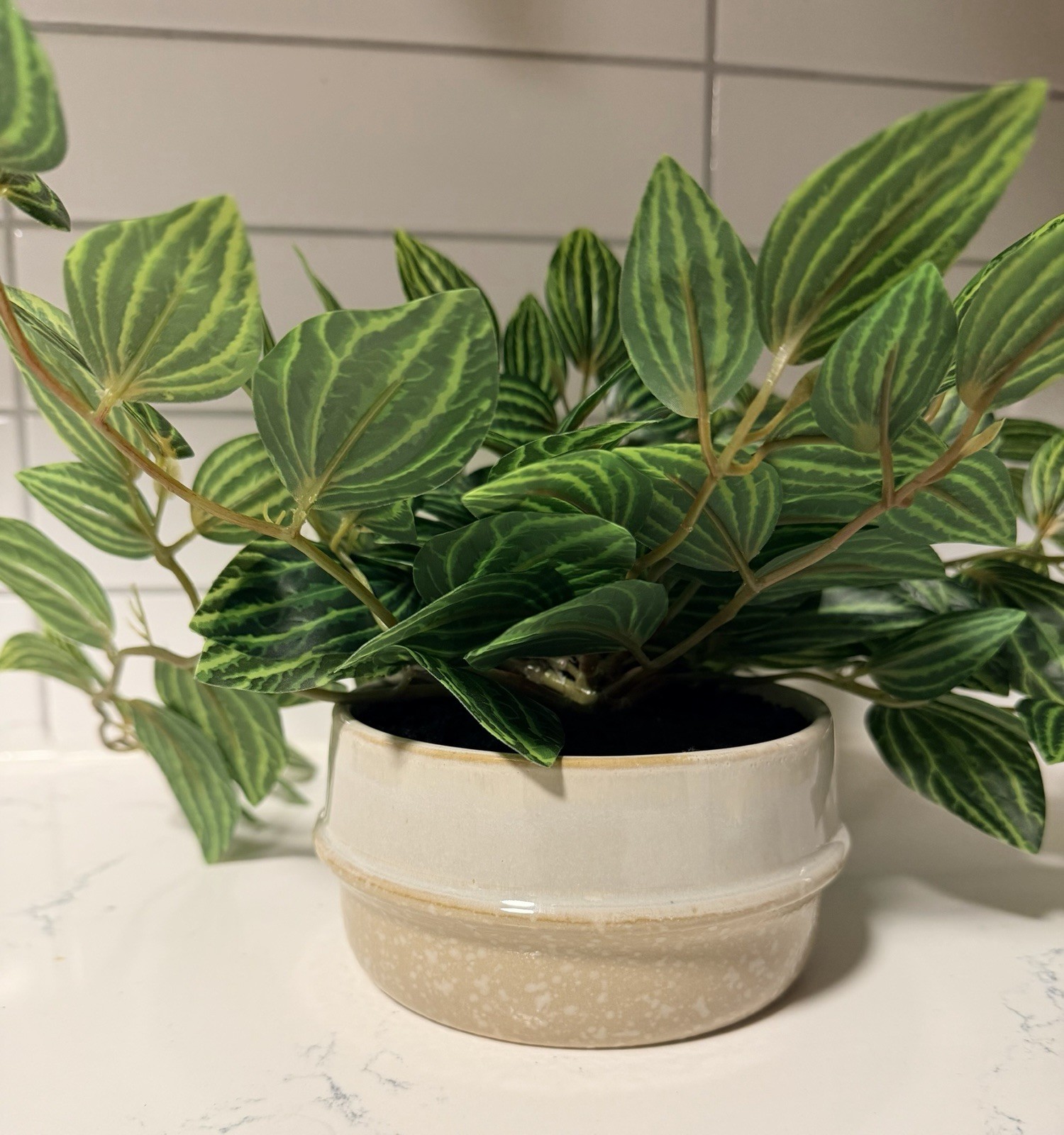 NEW! Ceramic Potted Faux Artificial Plant 6” H 15” L. Office Or Home Plant