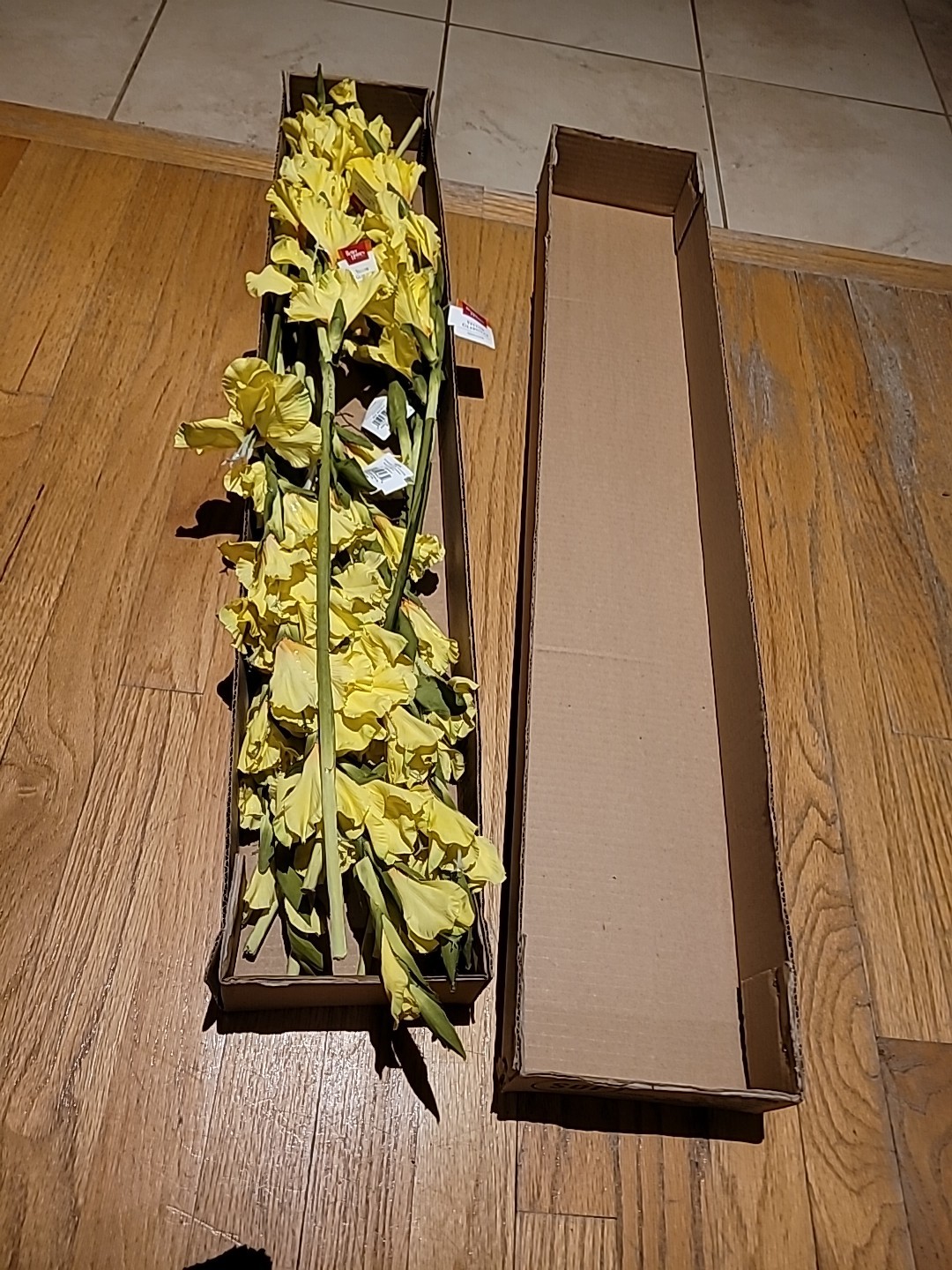 15 Pk Artificial Yellow Gladiolus Flowers Stem approx 36 inch L By Better Homes
