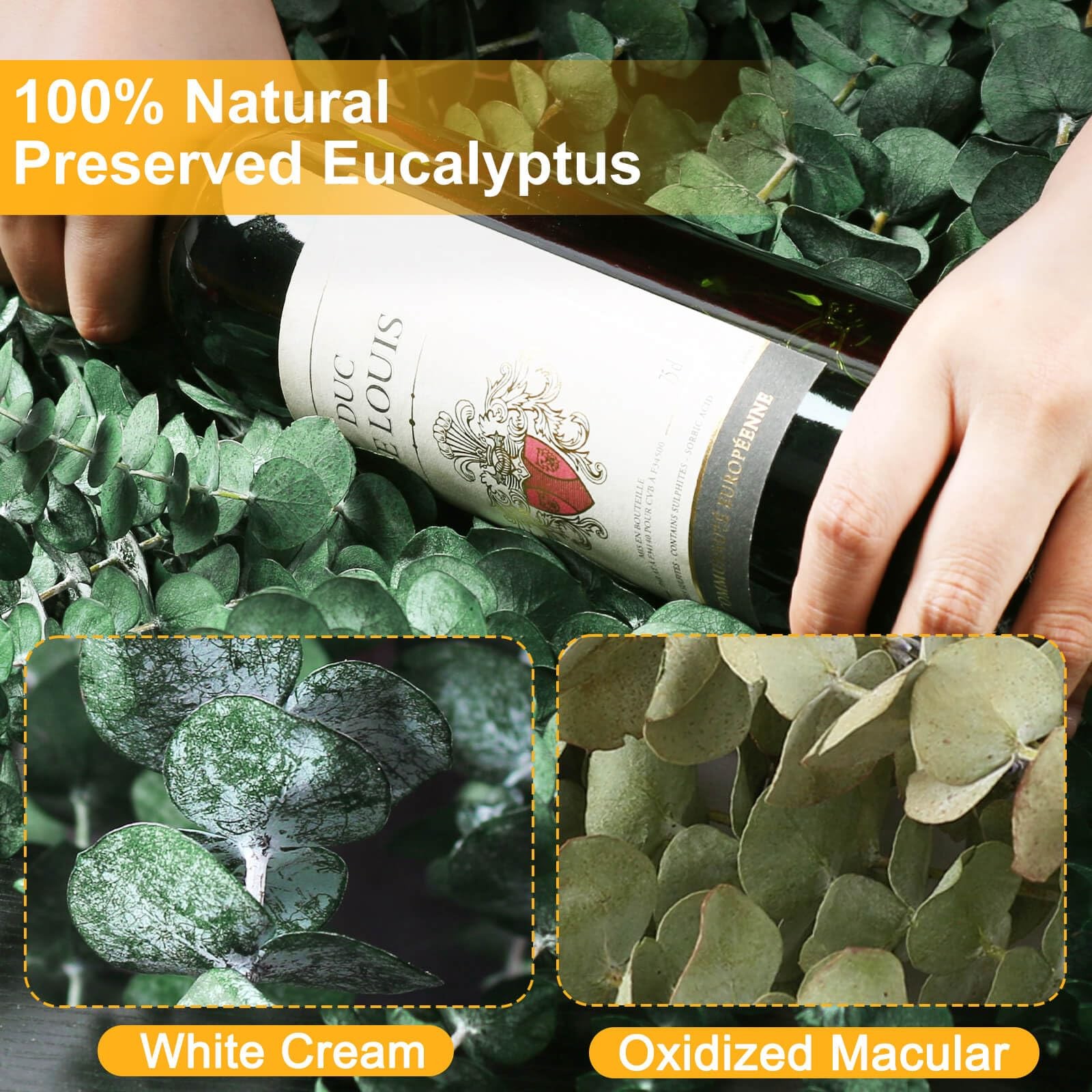 42 Pcs Dried Eucalyptus Stems for Shower, 17″ Preserved Eucalyptus Plants