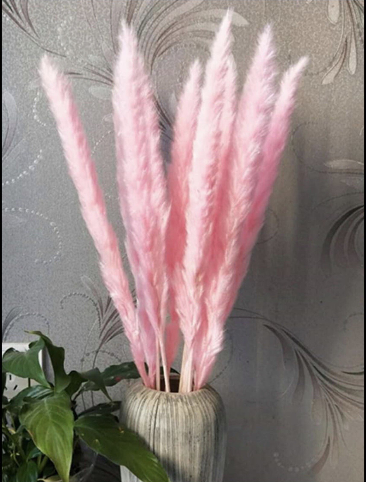15PCS Natural Dried Pampas Grass 24 In. Reed Flower Wedding Bouquet Home Decors