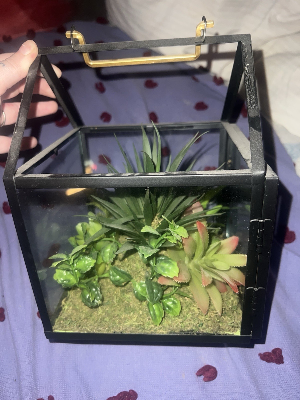 9 x 7 X 7 Metal And Glass Terrarium With Faux Succulent Plants